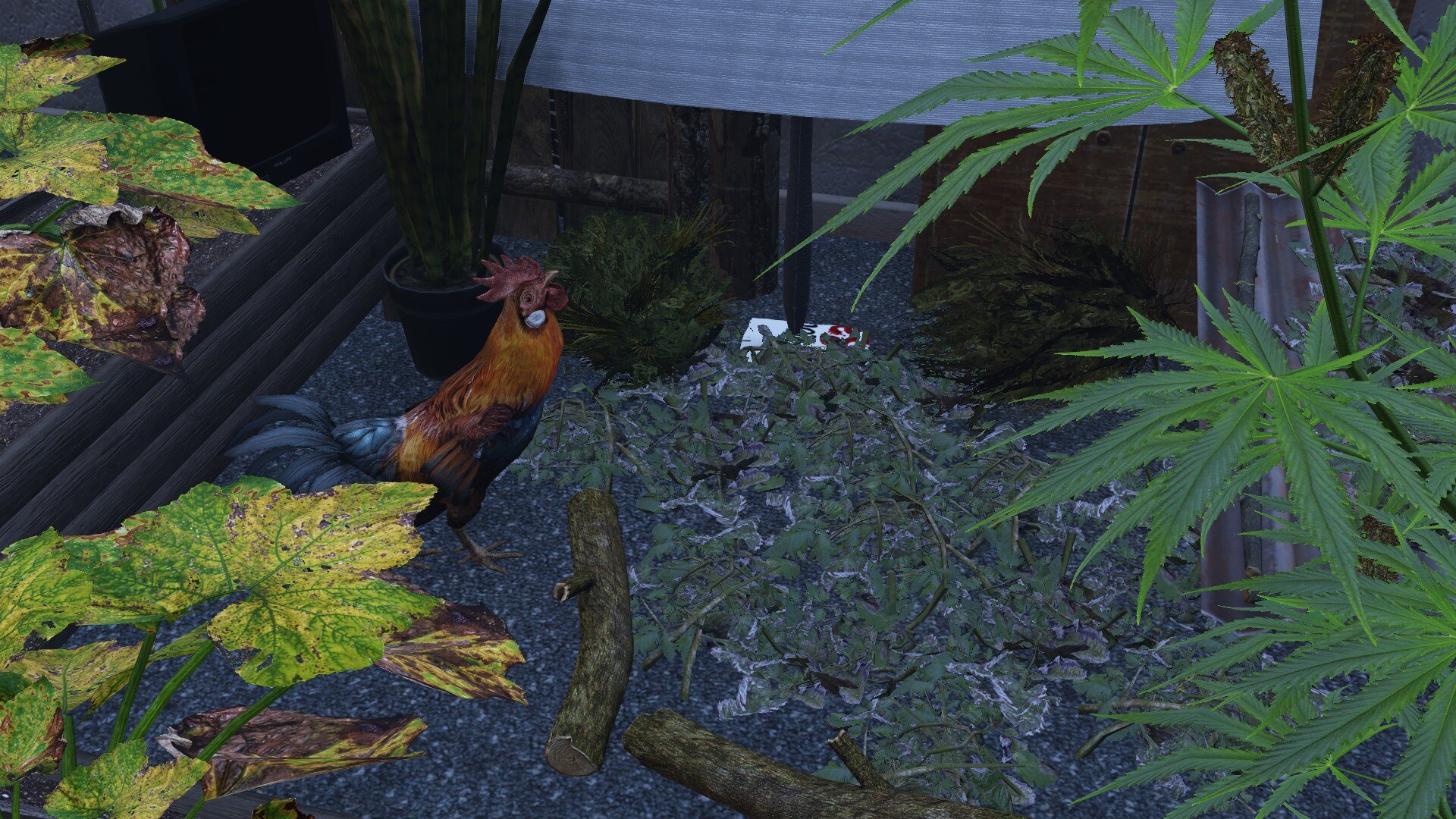 ?imw=5000&imh=5000&ima=fit&impolicy=Letterbox&imcolor=%23000000&letterbox=false