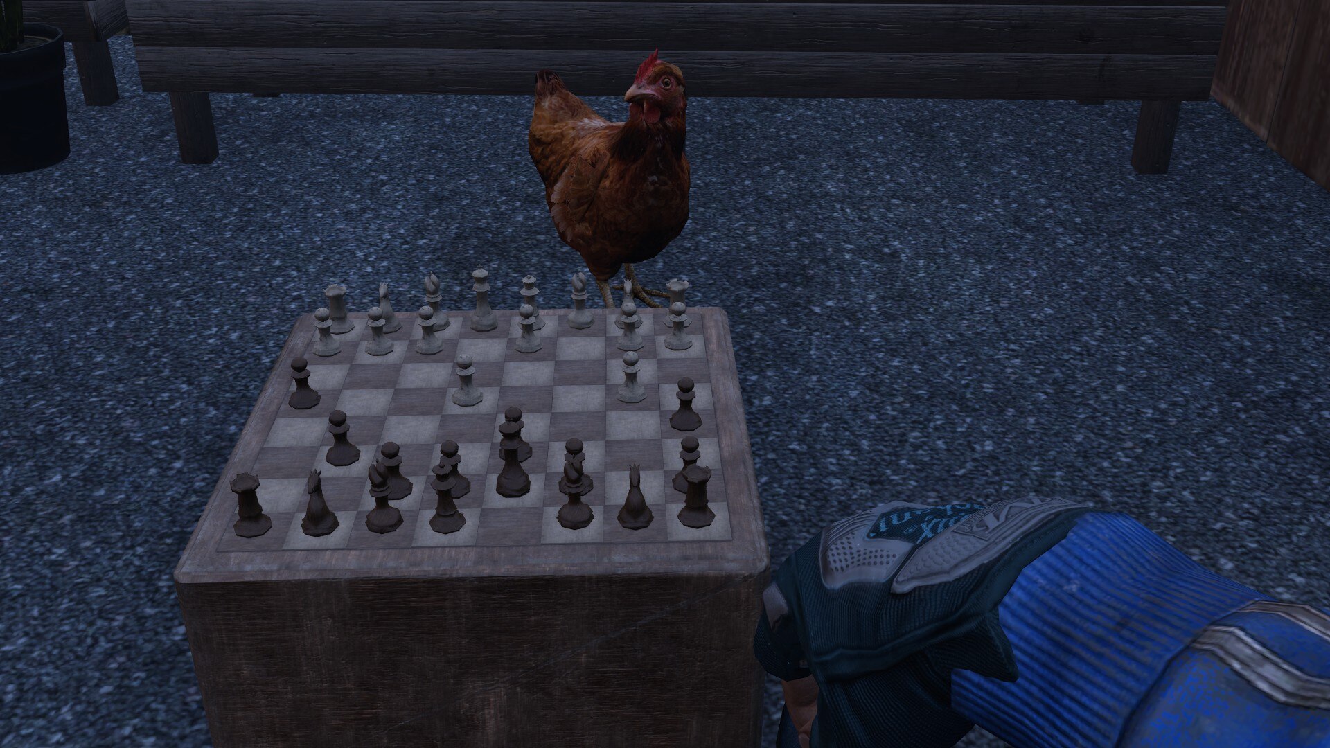 ?imw=5000&imh=5000&ima=fit&impolicy=Letterbox&imcolor=%23000000&letterbox=false