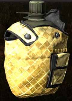 ?key=c886eb4e488640e401cbae18ca7361545f10f2386213e3c7946c2afa6ddf2958-aHR0cHM6Ly9pLmliYi5jby92QzV3blNKL2dvbGRlbmUtZmxhc2NoZS5qcGc%3D