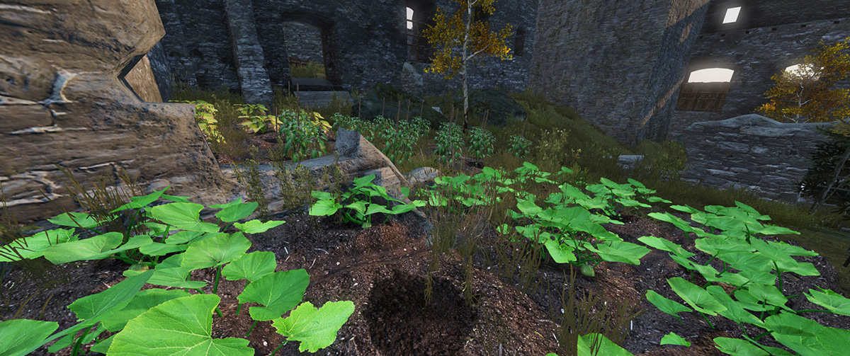 20250804003715_1 Kopie.jpg