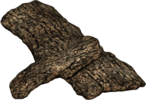 Bark_Oak.png