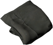 Breeches_Black.png