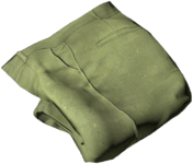 Breeches_Green.png