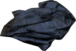 CargoPants_Blue.png