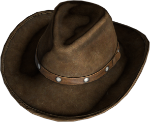 CowboyHat_darkBrown.png