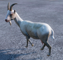 Goat.png