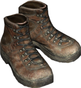 HikingBoots_Brown.png