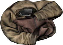 Hoodie_Brown.png