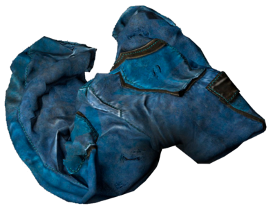 Jumpsuit_Pants_Blue.png