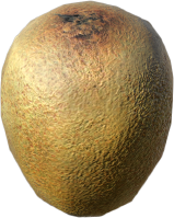 Kiwi.png