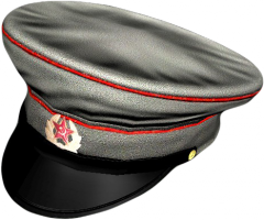 OfficerHat.png