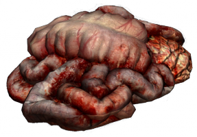 PileOfGuts.png