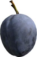 Plum.png