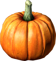 Pumpkin.png