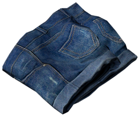 JeansHotPants