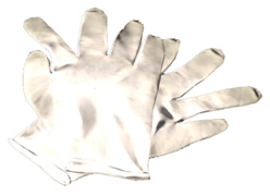 SurgicalGloves_White.png