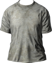 TShirt_Grey.png