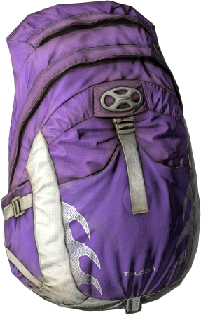 Taloon_Backpack_VIOLET.png