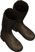 Wellies_Brown.png