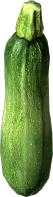 Zucchini.png